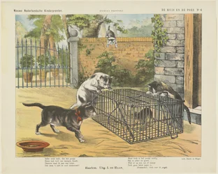 Die Maus und die Katze