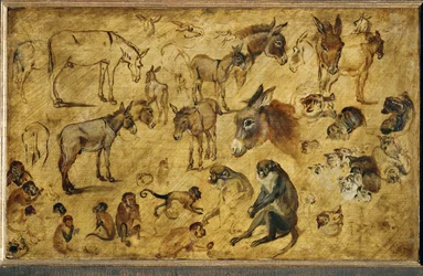Tierstudien