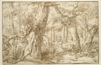 Waldinneres mit Zeichner, ca. 1664