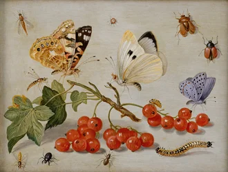 Stillleben mit einem Zweig roter Johannisbeeren, Schmetterlingen, Käfern, einer Raupe und Insekten