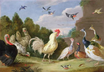 Waldlandschaft mit einem Hahn, Truthahn, Hühnern und anderen Vögeln, 17. Jahrhundert