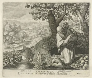 Heiliger Franziskus
