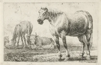 Pferde und Kühe (Serie: Dieren, Zoographiam)