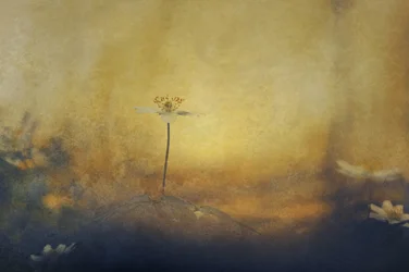 Goldene Traumblume