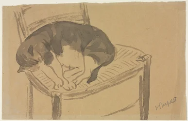 Schlafende Katze
