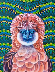 Philippinenadler