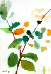 Botanisch aus dem Innenhof