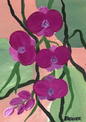Magentafarbene Orchideenblüten