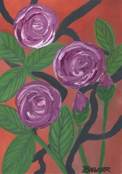Violette Rosen blühen
