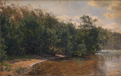Holunderbüsche bei Almind See