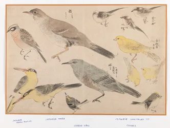 Vögel im Okyo-Stil