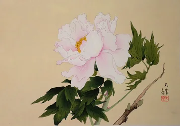 Pfingstrose, veröffentlicht 1950