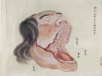 Die Anatomie des Mundes nach der Sektion eines Folteropfers von 1796, aus einem Makimono eines Arztes aus Midori, 1842
