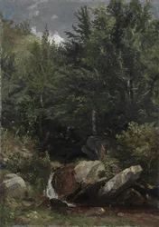 Bäume und ein Bach an einem Hang