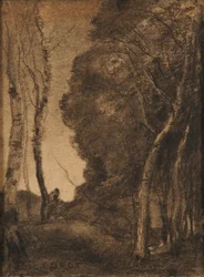 Landschaft mit Bäumen
