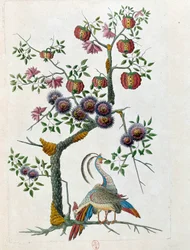 Zeichnung von einer chinesischen Vase: Vogel und Blumenast