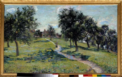 Landschaft in der Normandie: Apfelbäume