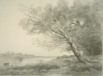 Gebogener Baum am Wasser