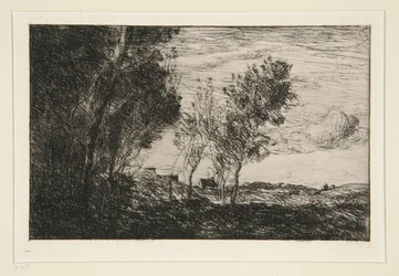 In den Dünen: Erinnerung an den Wald von Den Haag