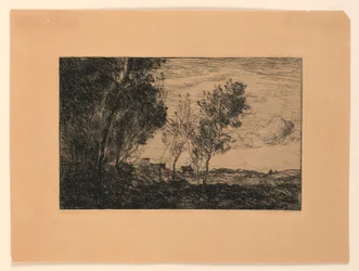 In den Dünen: Erinnerung an den Wald bei Den Haag