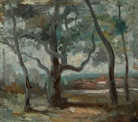 Der Große Baum (Studie)