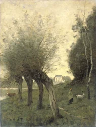 Landschaft mit Kopfweiden