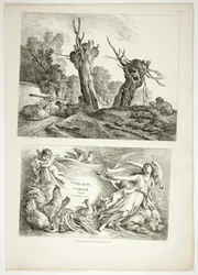 Platte 25 von 38 aus Oeuvres de J. B. Huet