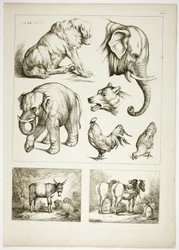 Tafel 32 von 38 aus Oeuvres de J. B. Huet