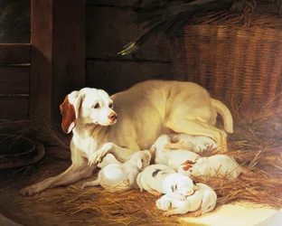 Hündin säugt Welpen, Detail aus Lise et ses petits, von Jean-Baptiste Oudry (1686-1755), Frankreich