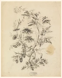 Ast eines fantastischen Baumes