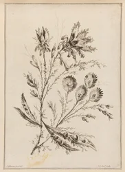 Blütenzweig