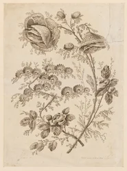 Blütenzweig, aus "Cahier de Fleurs Singuliers"