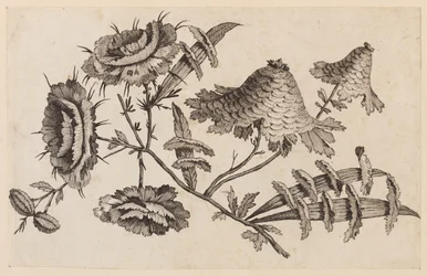 Blumenzweig, aus "Recueil de Fleurs Chinois"