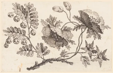Blumenzweig, aus "Recueil de Fleurs Chinois"