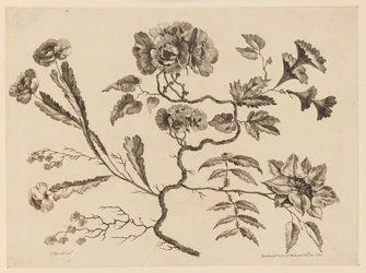 Blumenzweige, aus "Recueil de Differentes Fleurs de Fantaisie Dans le Goût Chinois"