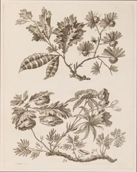 Blumenzweige, aus "Recueil de Differentes Fleurs de Fantaisie Dans le Goût Chinois"