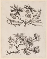 Blumenzweige aus "Recueil de Fleurs Chinois"