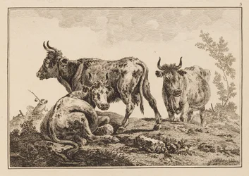 Tafel 3, aus "Cahier de Six Feuilles de Boeufs et Vaches"