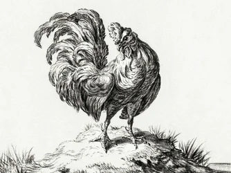 Huhn auf einem Hügel stehend