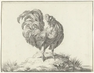 Huhn, stehend auf einem Hügel