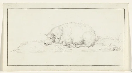 Liegendes Schaf, nach links