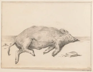 Liegendes Schwein, nach rechts