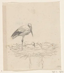Storch auf dem Nest