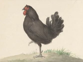 Stehendes schwarzes Huhn (1775-1833)
