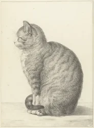 Sitzende Katze, nach links