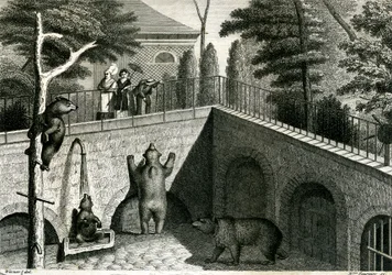 Bärenhöhle in einem Zoo