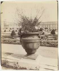 Versailles, Vase von Ballin