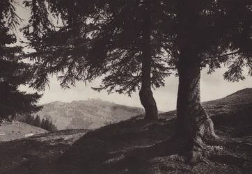 Rigi Staffel, Spazierweg bei Staffel