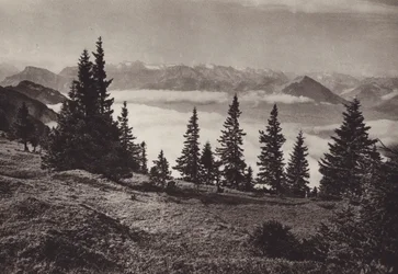 Spazierweg bei Staffel