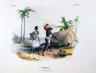 Tottis, 1828
